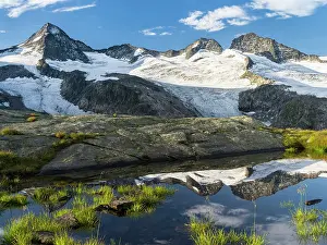 Grosser: Head of valley Obersulzbachtal in Nationalpark