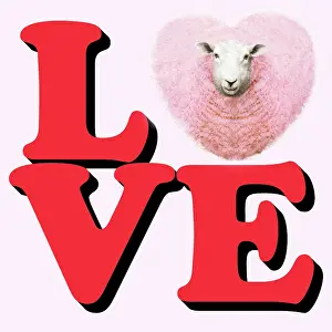 Text: Heart shaped ewe as the letter O the word Love
