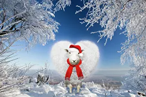 150821: Heart shaped sheep wearing Christmas hat under snow covered