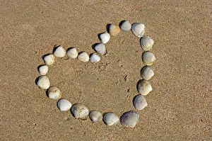 Seashells: Heart of shells on a beach