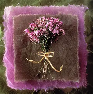 Bell: Heather