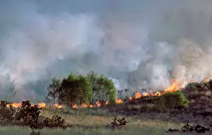 Fire: Heathland fire - May 1984