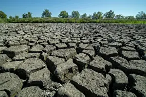 Heavily: Heavily dried up bottom of a pond, Lake Neusiedl-Seewinkel