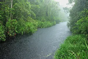 Blackwater: Heavy rain - blackwater river on the way to Camp Leakey