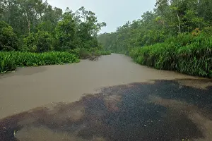 Confluence: heavy rain - Sekonyer river confluence with blackwater