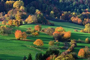 Meissner: Hedge landscape - in autumn colour - Hoeher Meissner