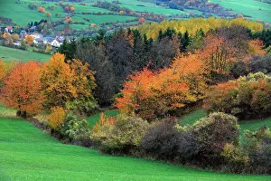 Meissner: Hedge Landscape - in autumn colour - Hoeher Meissner