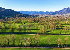 Foothills: Hedge landscape in the Isar valley near Gaissach