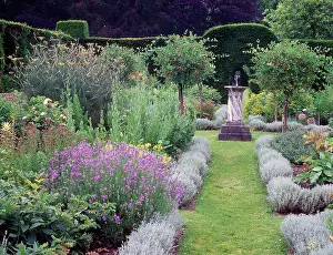 Beds: Hedged garden with pretty beds edged in Santolina