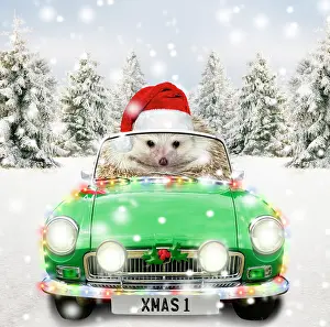 Motor: Hedgehog driving a sports car through Christmas winter scene