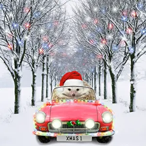250521: Hedgehog in sports car driving down tree-lined avenue with C