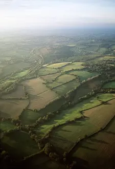 Rungnapa Sasitorn: HEDGEROWS - Field pattern, Aerial view