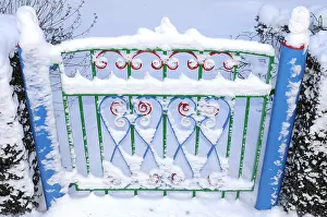Sneeuw: hek staphorst