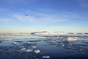 Helicopters: Helicopter - over icebergs