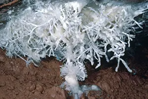 Winds: Helictites