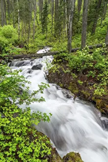 Strong: Hellroaring Creek flowing strong in spring