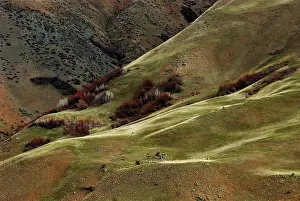 Hells: Hell's Canyon