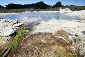Zeland: Hell's Gate / Tikitere geothermal reserve - Green