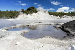 Owned: Hell's Gate / Tikitere Maori owned geothermal reserve