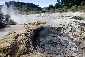 Fumarole: Hell's Gate / Tikitere Maori owned geothermal reserve