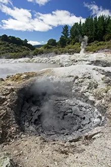 Fumarole: Hell's Gate / Tikitere Maori owned geothermal reserve
