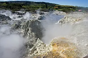 Owned: Hell's Gate / Tikitere Maori owned geothermal reserve