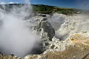 Metals: Hell's Gate / Tikitere Maori owned geothermal reserve