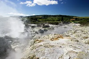 Metals: Hell's Gate / Tikitere Maori owned geothermal reserve