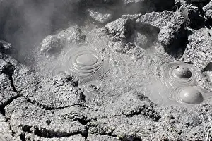 Boiling: Hell's Gate - Tikitere / Rotorua - boiling mud pools