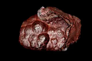 Kidney: hematite, botryoidal form, kidney ore, Cumberland, Engla