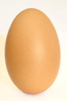 Aliments: Hen egg on white background
