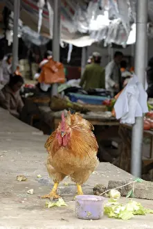 Shops: Hen in a market in a village near Lake Lugu
