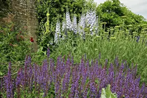 Borders: Herbaceous Borders Waterperry Gardens, (the former