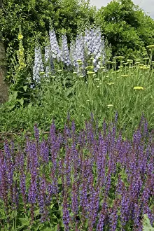 Borders: Herbaceous Borders Waterperry Gardens, (the former