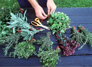 Gardener: HERBS & HANDS ARRANGING - Being bunched by gardener