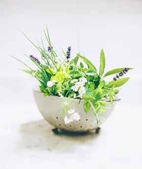 Colander: Herbs in metal colander