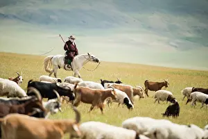 Headdress: Herdsman goats riding, Province Khevsgel - Mongolia