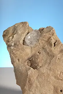 Matrix: Herkimer Diamond
