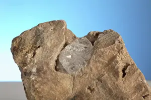 Matrix: Herkimer Diamond