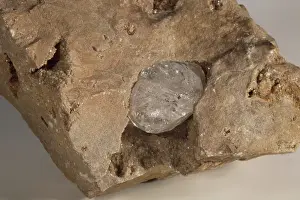 Matrix: Herkimer Diamond