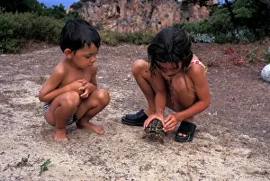 Testudo: Hermann's tortoise - children