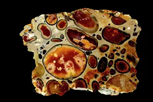 Minerals: hertfordshire puddingstone, conglomerate, flint clasts i