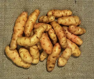 Potatoes: Hessian Potatoes