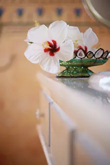 Opulent: Hibiscus