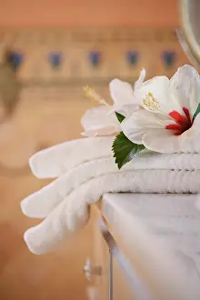 Opulent: Hibiscus