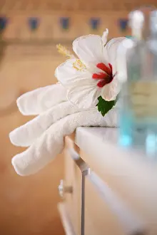 Opulent: Hibiscus