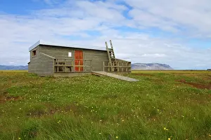 Hide: Hide in marshland, Flni bird reserve