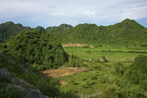 Connie: High angle view on Cat Ba national park
