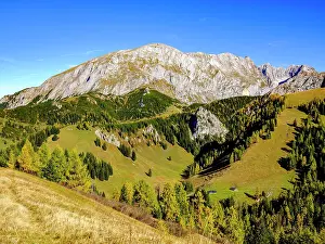 Board: High board above autumnal mountain forest, Berchtesgaden