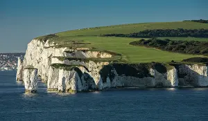 Stacks: High chalk cliffs at Old Harry Rocks - Foreland Point